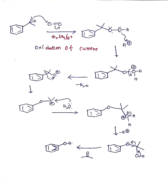 X AM प्र oxidation of cumene / 0-H H ___