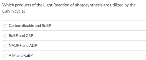 Which products of the Light Reaction of photosynthesis are utilized by the Calvin cycle? Carbon dioxide and RuBP RuBP and G3P