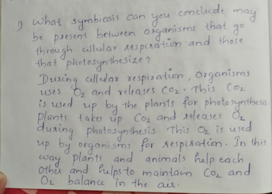 1) What symbiosis can you conclude may be present between organisms that go through cellular respiration and those that photo