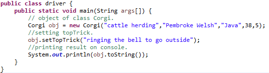 public class driver { public static void main(String args[]) { // object of class Corgi. Corgi obj = new Corgi(cattle herdin