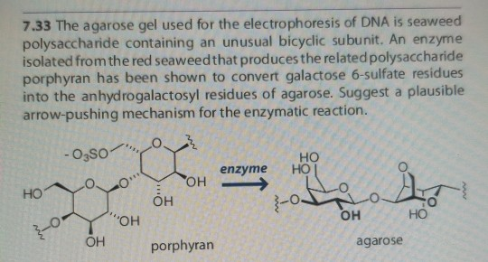 7.33 The agarose gel used for the electrophoresis of DNA is seaweed polysaccharide containing an unusual bicyclic subunit. An