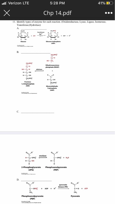 .. Verizon LTE 5:28 PM 41% E Chp 14.pdf 11. Identify types of enzyme for each reaction (Oxidoreductase, Lyase, Ligase, somera