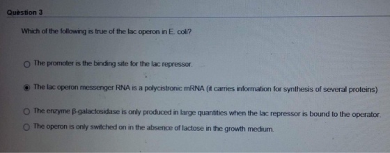 Question 3 Which of the following is true of the lac operon in E. coli? O The promoter is the binding site for the lac repressor ⓔ The lac operon messenger RNA is a polycistronic mRNA (it cames rformation for synthesis of several proteins) 0 The enzyme kalactosidase is only produced n large quantities when the lac repressor is bound to the operator. O The operon is only switched on in the absence of lactose in the growth medium.