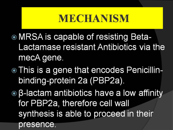 MECHANISM o MRSA is capable of resisting Beta- Lactamase resistant AntibiotiCs via the mecA gene binding-protein 2a (PBP2a) for PBP2a, therefore cell wall presence o This is a gene that encodes Penicillin- o ß-lactam antibiotics have a low affinity synthesis is able to proceed in their