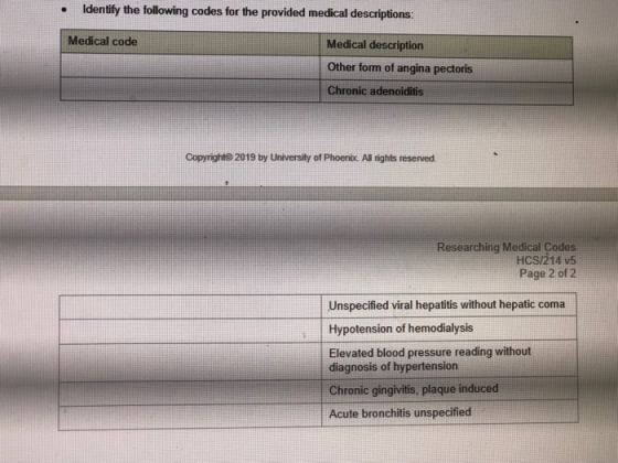 Identify the following codes for the provided medical descriptions: Medical code Medical description Other form of angina pec