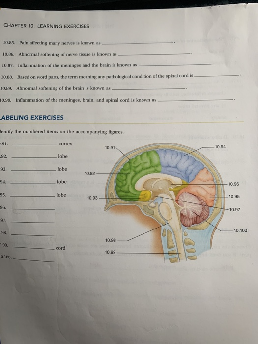 CHAPTER 10 LEARNING EXERCISES 10.85. Pain affecting many nerves is known as 10.86. Abnormal softening of nerve tissue is know