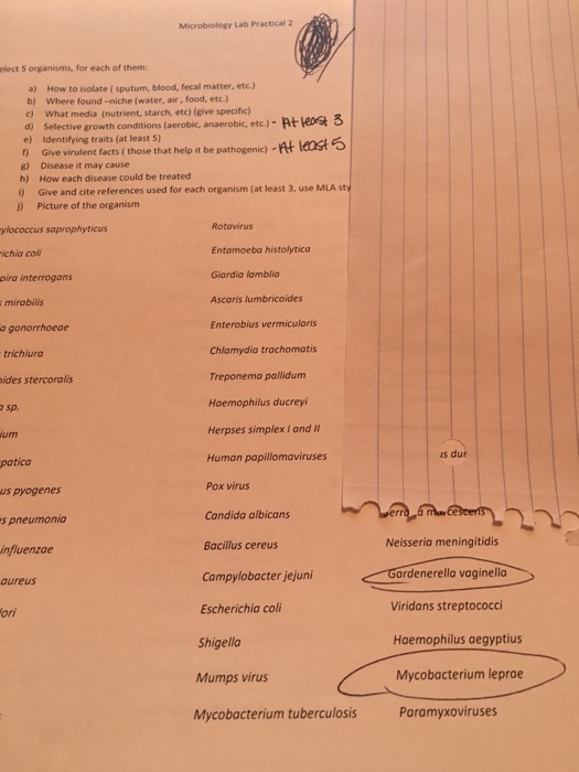 How to isolate (sputum, blood, fecal matter, etc)