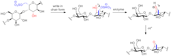 6,50 m. Oy OH write in chair form HÖYOSHOs enzyme Hory you on the Bloodho Not{ OH HO OH ON HO