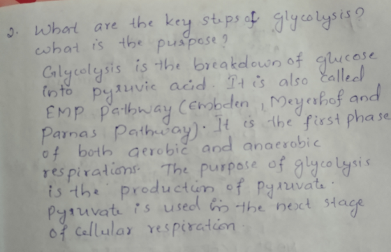 2. What are the key steps of glycolysis? what is the puspose? Glycolysis is the breakdown of glicose into pyruvic acid. It is