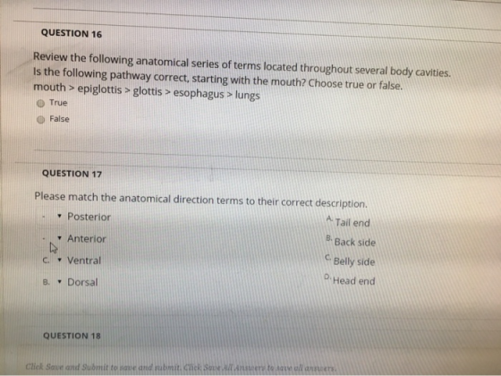 QUESTION 16 Review the following anatomical series of terms located throughout several body cavities. Is the following pathwa
