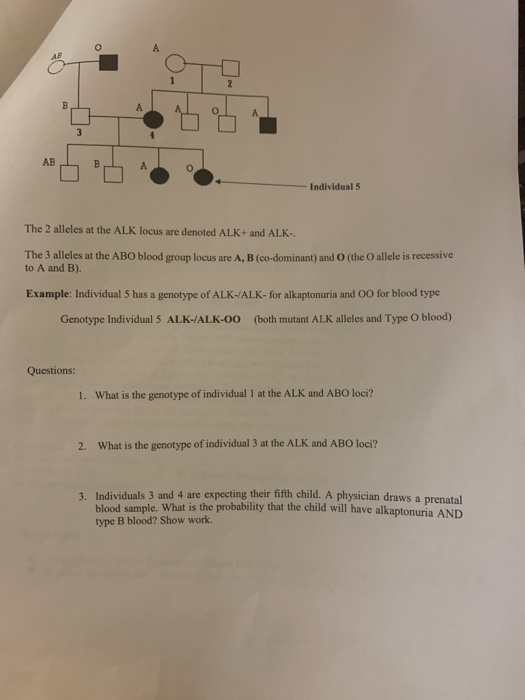 Individual 5 The 2 alleles at the ALK locus are denoted ALK+ and ALK- The 3 alleles at the ABO blood group locus are A. B (co