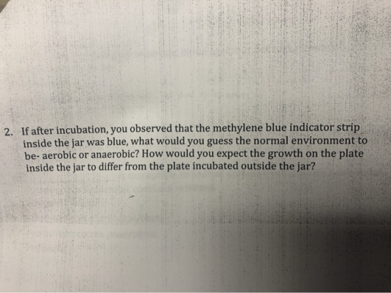 2. If after incubation, you observed that the methylene blue indicator strip inside the jar was blue, what would you guess th