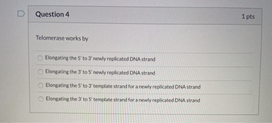 Question 4 1 pts Telomerase works by Elongating the 5 to 3 newly replicated DNA strand Elongating the 3 to 5 newly replica