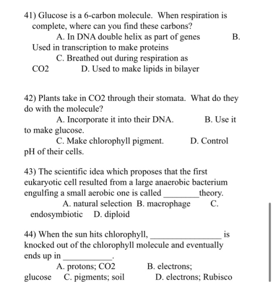 41) Glucose is a 6-carbon molecule. When respiration is complete, where can you find these carbons? A. In DNA double helix as