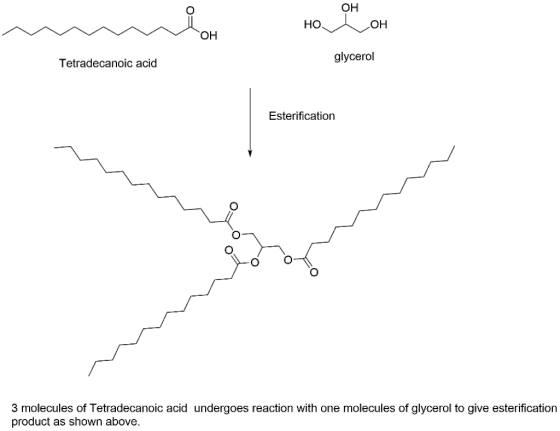 ОН Но НО ОН glycerol Tetradecanoic acid Esterification 3 molecules of Tetradecanoic acid undergoes reaction with one molecule