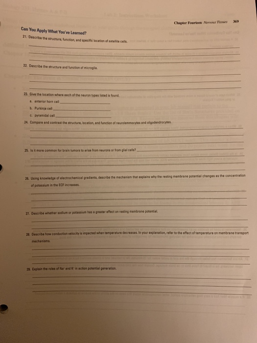 Chapter Fourteen New s 369 Can You Apply What Youve learned? 21. Describe the structure, function and specific location of t