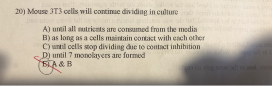 20) Mouse 3T3 cells will continue dividing in culture A) until all nutrients are consumed from the media B) as long as a cell