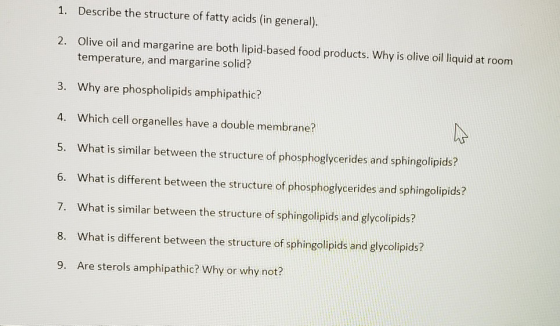 1. Describe the structure of fatty acids (in general). 2. Olive oil and margarine are both lipid-based food products. Why is