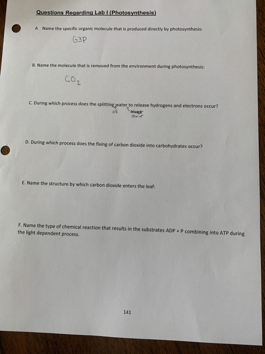 Questions Regarding Lab (Photosynthesis) A Name the specific organic molecule that is produced directly by photosynthesis: G3