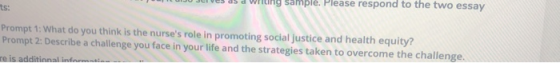 DIJU J as a wrung sample. Please respond to the two essay Prompt 1: What do you think is the nurses role in promoting social