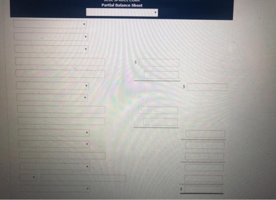 Partial Balance Sheet