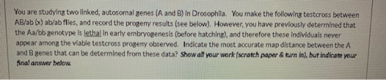 You are studying two linked, autosomal genes (A and B) in Drosophila. You make the following testcross between AB/ab (x) ab/a