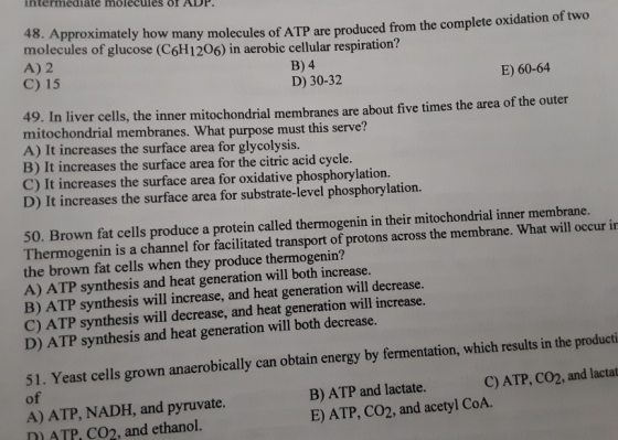 intermediate molecules of ADP. 48. Approximately how many molecules of ATP are produced from the complete oxidanono molecules