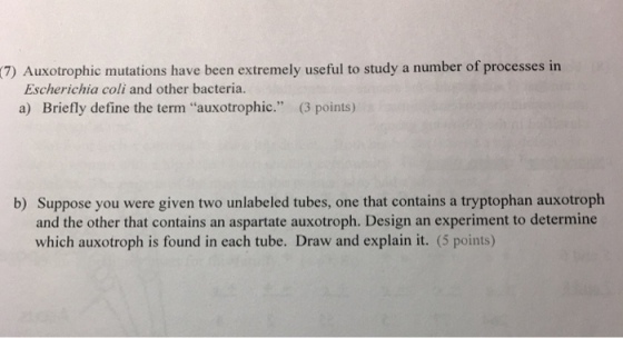 (7) Auxotrophic mutations have been extremely useful to study a number of processes in Escherichia coli and other bacteria. a) Briefly define the term auxotrophic. (3 points) b) Suppose you were given two unlabeled tubes, one that contains a tryptophan auxotroph and the other that contains an aspartate auxotroph. Design an experiment to determine which auxotroph is found in each tube. Draw and explain it. (5 points)