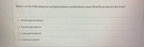 Which of the following sex and generation combinations most directly produces the fruit? O female gametophyte O female sporop