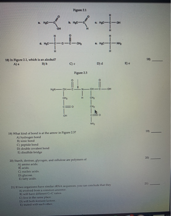 Figure 21 CO ah--o-o __ d. HCOO-C-CHE . HC- cy 18) In Figure 2.1, which is an alcohol? B) b A) a 9c D) E) e Figure 23 HONCHO