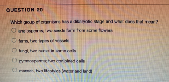 QUESTION 20 Which group of organisms has a dikaryotic stage and what does that mean? angiosperms; two seeds form from some fl