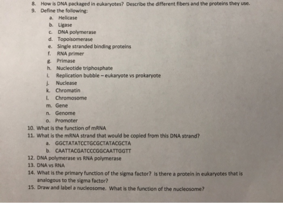8. How is DNA packaged in eukaryotes? Describe the different fibers and the proteins they use. 9. Define the following: a. He