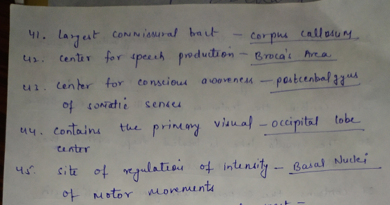 4 Laat center for speeih produdtion cONNIAAUral bait callosuM Cor pus Brocas Area pastcenbal u. Centerfor conseious a voaven