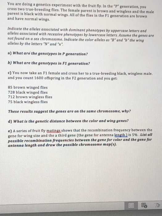 You are doing a genetics experiment with the fruit fly. In the P generation, you cross two true-breeding flies. The female parent is brown and wingless and the male parent is black with normal wings. All of the flies in the F1 generation are brown and have normal wings. Indicate the alleles associated with dominant phenotypes by uppercase letters and alleles associated with recessive phenotypes by lowercase letters. Assume the genes are not found on a sex chromosome. Indicate the color alleles as B and b the wing alleles by the letters N and n a) What are the genotypes in P generation? b) What are the genotypes in F1 generation? c) You now take an F1 female and cross her to a true-breeding black, wingless male. and you count 1600 offspring in the F2 generation and you get: 85 brown winged flies 728 black winged flies 712 brown wingless flies 75 black wingless flies These results suggest the genes are on the same chromosome, why? d) What is the genetic distance between the color and wing genes? e) A series of fruit fly matings shows that the recombination frequency between the gene for wing size and the a third gene (the gene for antenna length is 5% . List all possible recombination frequencies between the gene for color and the gene for antenna length and draw the possible chromosome map(s).