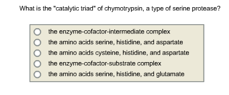 Image for What is the catalytic triad of chymotrypsin, a type of serine protease? the enzyme-cofactor-intermediate compl