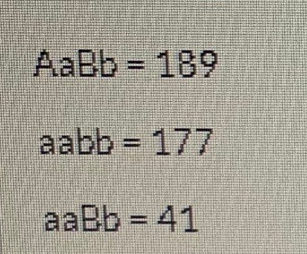 AaBb = 139 aabb = 177 aaBb = 41