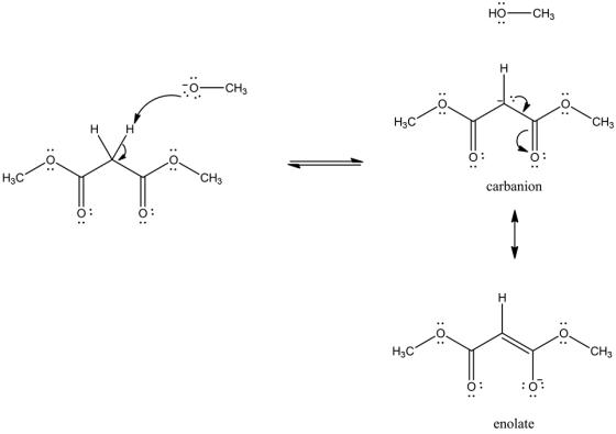 Но
CH3
CH3
CH3
Нас
Н
Нэс
CHз
carbanion
н
CHз
Нас
enolate
