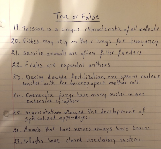 True or Fa se 1. Tarsion 15 a unut chavactevistic of all melluste 2o. fishes may rely on the lunqs far buoydncy 시. sessile dnimals are often p.lher feeders 22. frules are expanded anthexs 2. Ouring double fertii 2ation, one seerm nucleus unites ith the microp speie mo thes call 2h. Coenecyhie fanqi have many nuclei n ont 25. seamentation allouye the Jevelepment of 26. Hnimals tha have nerve always have brain 23. Tlollusk have clesed curculatory systems extensive ctopa sm 3pècialized appendeyes