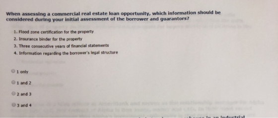 When assessing a commercial real estate loan opportunity, which information should be considered during your initial assessme