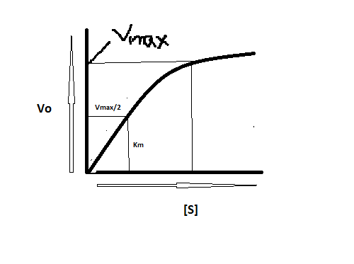 Vo 7 Vmax/2 [S]