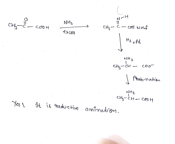 H2 ,Pd Phola matien NH2