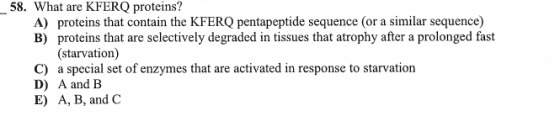 58. What are KFERQ proteins? A) proteins that contain the KFERQ pentapeptide sequence (or a similar sequence) B) proteins tha