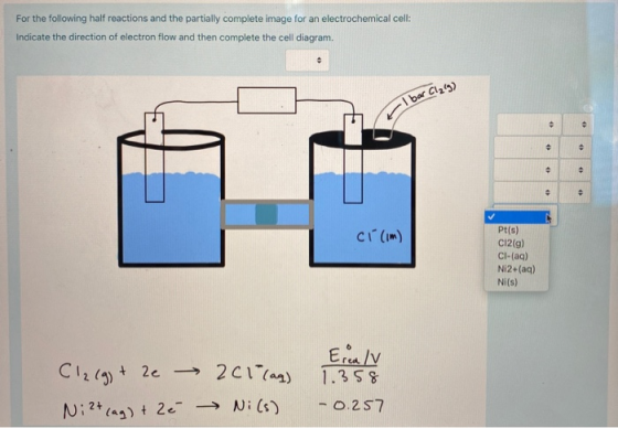 For the following half reactions and the partially complete image for an electrochemical cell: Indicate the direction of elec