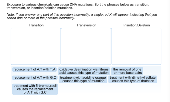 Exposure to various chemicals can cause DNA mutati