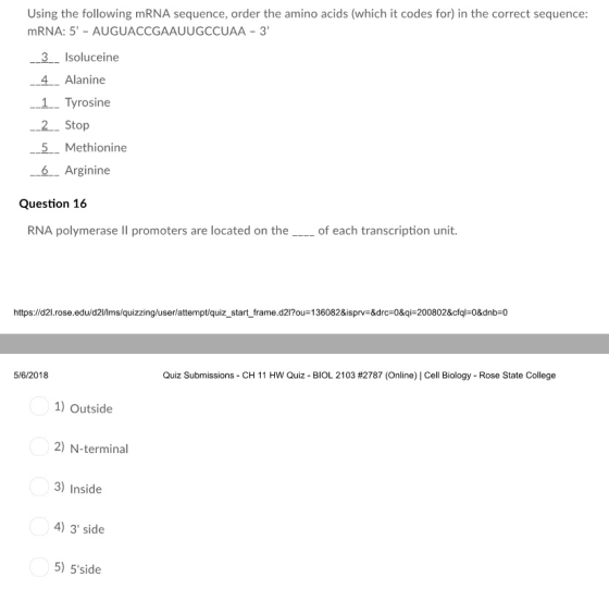 Using the following mRNA sequence, order the amino acids (which it codes for) in the correct sequence: mRNA: 5 - AUGUACCGAAUUGCCUAA -3 3_Isoluceine 4 Alanine 1 Tyrosine 2 Stop 5 Methionine 6 Arginine Question 16 RNA polymerase Il promoters are located on theof each transcription unit. https://d21 rose.edu/d21/lmslquizzina/userattemptiquiz start framed2???:136082&isprv-8drc=0&qí 200802&cfq_0&dnb-0 5/6/2018 Quiz Submissions-CH 11 Hw Quiz-BIOL 2103 #2787 (Online) | Cell Biology. Rose State College 1) Outside 2) N-terminal 3) Inside 4) 3 side 5) 5side