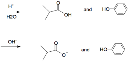and HO- 〈〉 H2O t) and Ho-