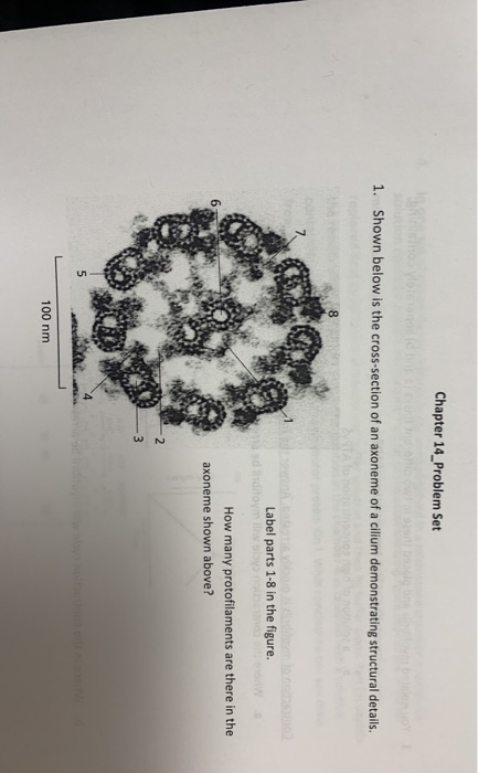 Chapter 14_Problem Set 1. Shown below is the cross-section of an axoneme of a cilium demonstrating structural details. Label
