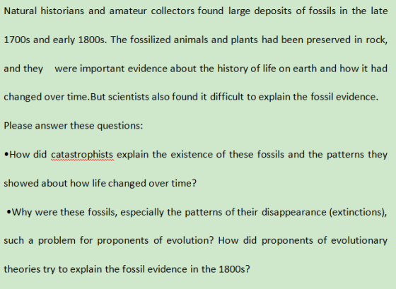 Natural historians and amateur collectors found large deposits of fossils in the late 1700s and early 1800s. The fossilized a