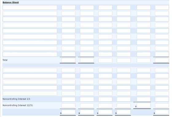 Balance Sheet Total Noncontrolling Interest 1/1 Noncontrolling Interest 12/31