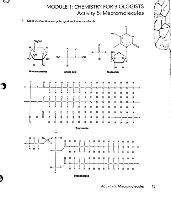 MODULE 1: CHEMISTRY FOR BIOLOGISTS Activity 5: Macromolecules 1. Label the function and polarity of each macromolecule. CH OH